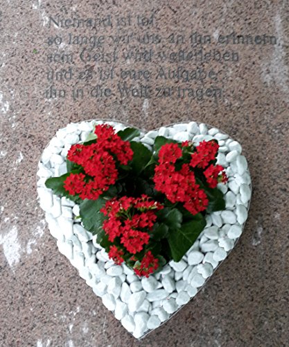 Herzgitter mit Kies 35.0cm x 35.0cm x 10.0cm Grabherz Grabschmuck Pflanzschale Herz Gitter Gabione Friedhof Pflanzherz Blumentopf Grablampe Grablaterne Grablicht Grabkerze - 3
