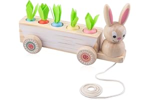 Jouets Montessori pour Bebe de 3 4 5 Ans, shirylzee Jeux De Récolte De Carottes en Bois, Jeux Montessori, Jeu de Tri, Jouets d'habileté Sportive comme Cadeaux d'anniversaire pour Garçons Filles