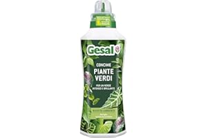 GESAL Concime Piante Verdi, Per un Verde Intenso e Brillante, 750 ml