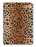 Ladytimer Leo 2015 - Taschenplaner/Taschenkalender A6 - Weekly - 192 Seiten