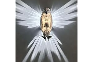 ONKUJLPST 3D Animals LED Wall Light Night, Bald Eagle Wall Lights,Creative Sculpture Animal Wall Lamp,ma-gical Eagle Night Light,3D Printed Eagle Wall Decoration Wall Light For Home Decoration & Restaurant