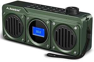Avantree Boombyte - Portable Digital FM Radio with Bluetooth Speaker, Superb Sound, Metal Finish, MP3 Player, Support Micro SD Card & USB Audio Input, Long Play Time, Rechargeable, Easy to Use - Green