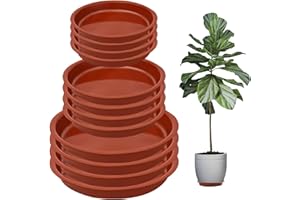 Nuqin Plant Pot Saucers - 12 Pack Plant Saucers,Durable Plastic Plant Trays for Pots,Plant Pot Trays in 3 Sizes,Waterproof Plant Saucer Red - Ideal for Garden,Balcony & Home,Etc