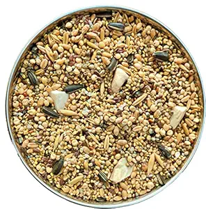 Pets Premium Seed Mix of 9 Grains Added with Spirulina & Cuttlefish Bone, Calcium Bird Food for Budgies, 450 g