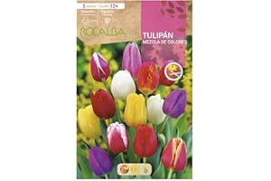 ROCALBA Bulbo Tulipán 12+ Mezcla De Colores