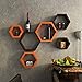 DecorNation Wall Shelf Rack Set of 6 Hexagon Shape Storage Wall Shelves for Home - Orange and Brown RS.1899.00