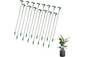 DHWEKU Tuteurs pour Plantes,15 Pièces tuteur Plante Interieur,tuteur Orchidee,Fixation de Croissance des Plantes, Protègent Les Plantes de l'Inclinaison,Vert