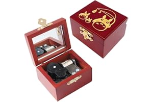Youtang Music box Carved Wood Musical Box Wind Up Mechanism Mucial Gift for Christmas,Birthday,Valentine's Day (My Neighbor T, silver)
