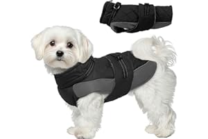 Katzinst Wintermantel Hund M, Wintermantel Hunde mit Hohem Kragen, Warmer Hundejacke mit D-Ring für Cocker Spaniel, Abend-Gassi, Schwarz, M