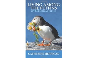 Living Among the Puffins on Skellig Michael