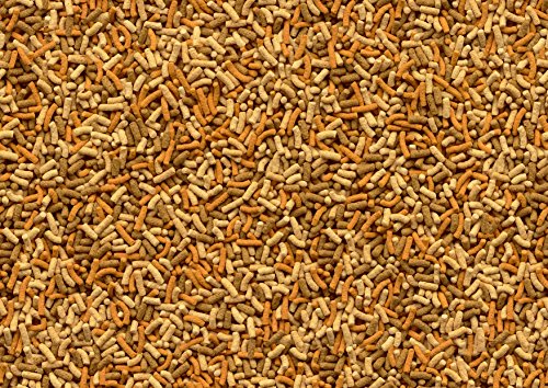 Tetra Pond Variety Sticks (Hauptfutter-Mix mit schwimmfähigen Futtersticks und Futterpellets, mit Farbverstärker), 10 Liter Eimer - 4