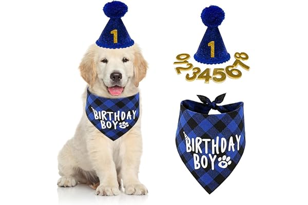 Qpets Dog Gifts Hat for Birthday, Cute Dog Birthday Party Hat Dogs Bandana Birthday Party Supplies Set, Dog Bandana Number Lable Square Scarf and Doggie Birthday Party Hat - Blue, Pack of 1