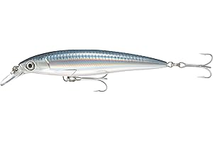 Rapala X-Rap Saltwater - Leurre de Pêche pour Les Gros Prédateurs - Mer Tout Poisson - Prof de Nage 1.2-1.8m