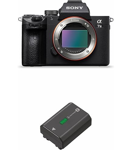 Buy New Nikon D3000 10.2 Mp Digital SLR Camera W Kit Af-s Dx 18