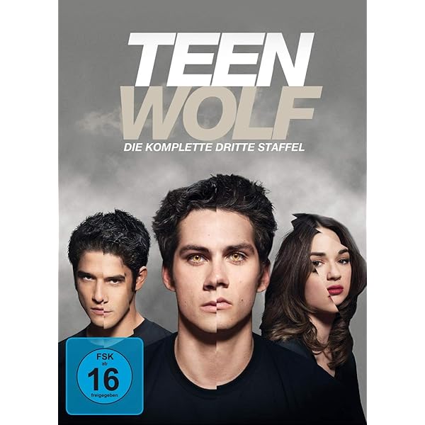 (中古）Teen Wolf - Staffel 5 (Softbox)