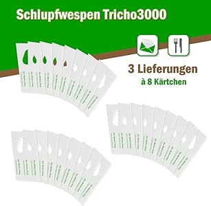 Schlupfwespen Lagererzwespen Gegen Brotkäfer, Tabakkäfer