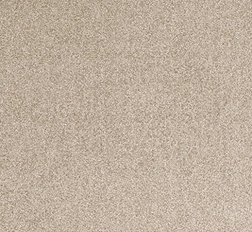 Efia Salonloewe Fußmatte Wohnmatte sand SLU3040 (ca. 30x100cm) - 2
