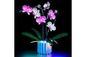 LocoLee Led Licht Set Kompatibel mit LEGO 10311 Orchidee Blumen Botanical Collection ( Nur Lichter-Set, kein Baustein), Beleuchtungsset Compatible with Lego Orchideen, Nur Lichter (Classic Version)