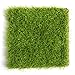 Produktbild Kunstrasen Rasen - 6.56 ft * 1.64 ft (10.76pt2) Indoor Outdoor Garten Rasen Landschaft Kunstrasen Mat