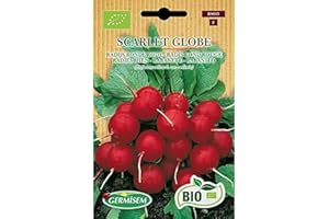 Germisem Orgánica Scarlet Globe Semillas de Rábano 5 g
