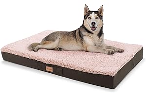 brunolie Balu - Lit pour Chien, Lavable, orthopédique et antidérapant, Coussin pour Chien, Peluche, Mousse à mémoire Respirante, Taille L (100 x 65 x 10 cm) - Beige