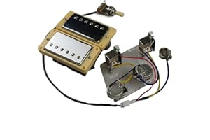 KAILINGBAIHUOSHANGHANG Humbucker Gitarren-Pickups Humbucker-Pickups Hals- Und Bridge-Pickup 4C-Kabel-Kabelbaum Push-Pull-Soll-Set Für Gibson Epiphone-Gitarre (Color : Silver Yellow Frame)