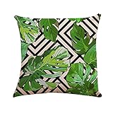 18 40 45 kissenhülle 30x50 kissenhüllen set x 40kissenbezug tieredekokissen kinder jungezierkissen wohnzimmer kissenbezüge baumwollekissenhüllen homekissenbezug schwarz weißdekokissen kinderzimmer ostern 45kissenhüllen weiß spruchdekokissen leinenzierkissen outdoor rosakissenhüllen weisskissenbezug hellblaudekokissen liebezierkissen ohne füllung kuschelkissen liebe wurfkissen weihnachtskissenbezug 45cm * / 18