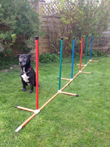 freestanding-colourful-6-dog-agility-weave-poles-which-convert-into-3-dog-agility-training-jumps-due-to-amazons-new-postage-policy-we-can-only-post-this-item-to-mainland-uk-England-Wales-and-Scotland-