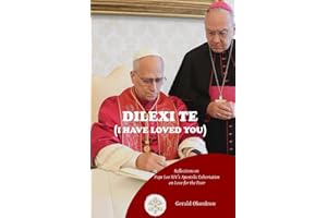 DILEXI TE ( I HAVE LOVED YOU ): Reflections on Pope Leo XIV's Apostolic Exhortation On Love for the Poor