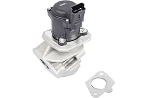 DENSIEG Valve AGR-VENTIL avec joint pour U.A.C-ITROEN, F-IAT, F-ORD, P-eugeot 207, 307,407 1618NR