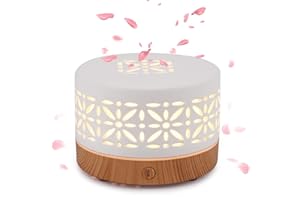 PUTINEI Recargable Difusor de Aceites Esenciales Sin Agua, Difusor para Perfume, Aceite Esencial con LED de 7 Colores, Función de Temporizador (TCKXY02)