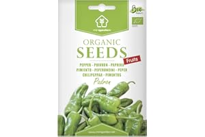Poivron de Padrón, Graines Certifiées Biologiques Prêt à Pousser Minigarden, 100% Naturelles sans Propagateurs Chimiques ni Génie Génétique, inclut entre 50 et 75 graines