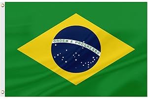 ASUNO Brazil Flag 90 × 150 CM Polyester Brazilian National Banner with 2 Brass Grommets Double Side Vivid Color Fade Resistant for Outside Garden Lawn Patio