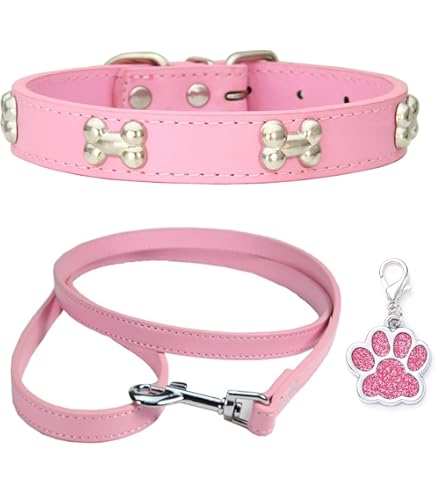 Collare Chihuahua Personalizzato Per Cani Di Piccola Taglia Collari Imbottiti Regolabili Con Campanello Per Cani Di Taglia Piccola E Media,Pesce Nero,XXS - Foto 13