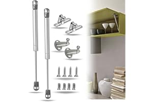 INDAUX Lot de 2 vérins à gaz pour mini piston de levage X198 mm + fixations