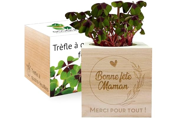 Amikado - Ecocube gravé Bonne fête Maman à personnaliser (Trèfle à 4 feuilles) - Plantes dans Un Cube en Bois - 100% Eco Friendly - idée Cadeau Durable