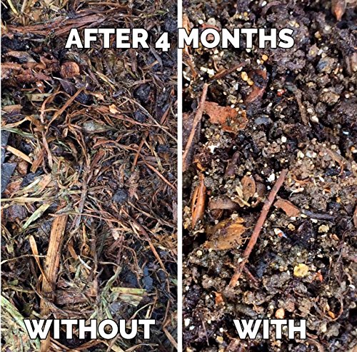 Envii Kompostbeschleuniger – Bakterielles Produkt, welches den Kompostierungsprozess beschleunigt – 12 Tabletten - 4