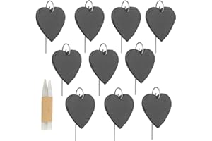Dimoxii 10 Pcs Étiquettes Plantes en Ardoise pour Plantes, Marqueurs de Plantes de Jardin,Étiquettes Naturelles avec Piquets en Métal et Des Stylos à Craie pour Cour, L'extérieur &Serre