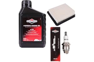 GARTENEXPRESS Wartungsset für Rasenmäher BRIGGS&STRATTON Quantum 625, 650, 675 5-6 PS B&S 0,6L 10W 30