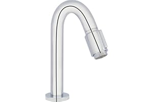 Saqu Essential 2.0 Kaltwasserhahn Gäste WC - 19 cm Hoher Waschtischarmatur - Messing - Mit Rosetten - Chrom - Waschbecken - Armatur