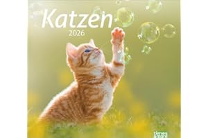 times&more Katzen Bildkalender 2026: Süße Samtpfoten im Wandkalender 2026. Kalender für Katzenfans - jeden Monat ein Hingucker. Hochwertiger ... Format 30 x 27 cm (times&more Kalender Heye)