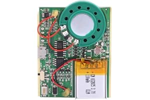 ZHUOLONG Modulo vocale registrabile, chip del modulo di registrazione vocale audio musicale USB 1W con batteria al litio ricaricabile(photosensitive control)