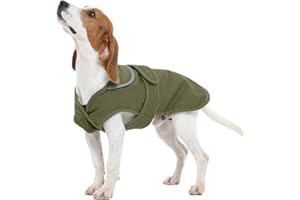 Kuoser Wasserdicht Hundemantel Hundejacke für Kleine Mittelgroße Hunde, Reflektierende Leinwand Wintermantel Große Hund Mantel Welpen Fleecejacke Wintermantel Hundeweste mit Gurtloch, M Grün
