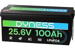 Dyness Batterie Lithium LiFePO4 24V 100Ah avec BMS intégré 100A et Protection Basses Températures, Batterie Lithium à Décharge Lente pour Camping Car, Panneau Solaire, Bateaux Bass, Hors-Réseau