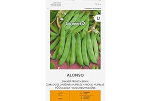 ŽALIA STOTELĖ Zalia stotele | SEMILLAS DE FRIJOL NANO ALONSO | Semillas de Hortalizas | semillas de plantas | semillas de jardín | 1 paquete