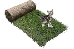 PetZolla Gatto Ricarica S - Cuccia gatto in vero prato con Erba gatta, Ricambio facile da sostituire per il Kit gatto S, Cuccia per gatti da interno dura fino a 3 mesi