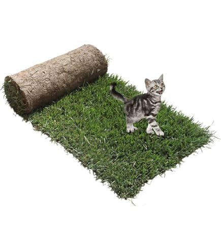 Vassoio Porta Traversine Per Cani 90x60 Cm – Con Bordo Rialzato, Base Antiscivolo, In PP Resistente, Adatto Per Addestramento E Balcone