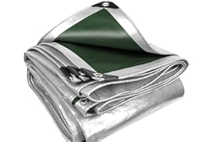 OTIGA Telo Impermeabile per Esterno,Teloni Occhiellati,Telone per Coperture Antivento Antipioggia Antistrappo,in Vari Colori e Misure,per Barca,Auto,Piscina,140 g/m²,2x3m