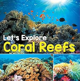 Let S Explore Coral Reefs Under The Sea For Kids