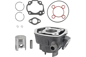 Area1 Cilindro di ricambio 50ccm 2T LC compatibile con Aerox Jog, Nitro Mach G, F12 F15, SR Area51 Gulliver Rally, 491, Italjet, (Motor)